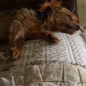 Meet your Posher, Sherry